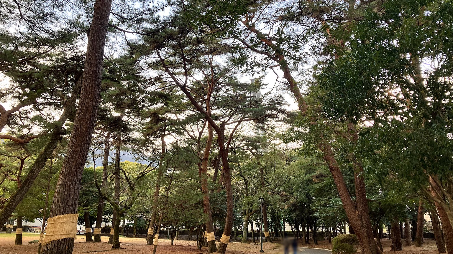 別府公園の写真