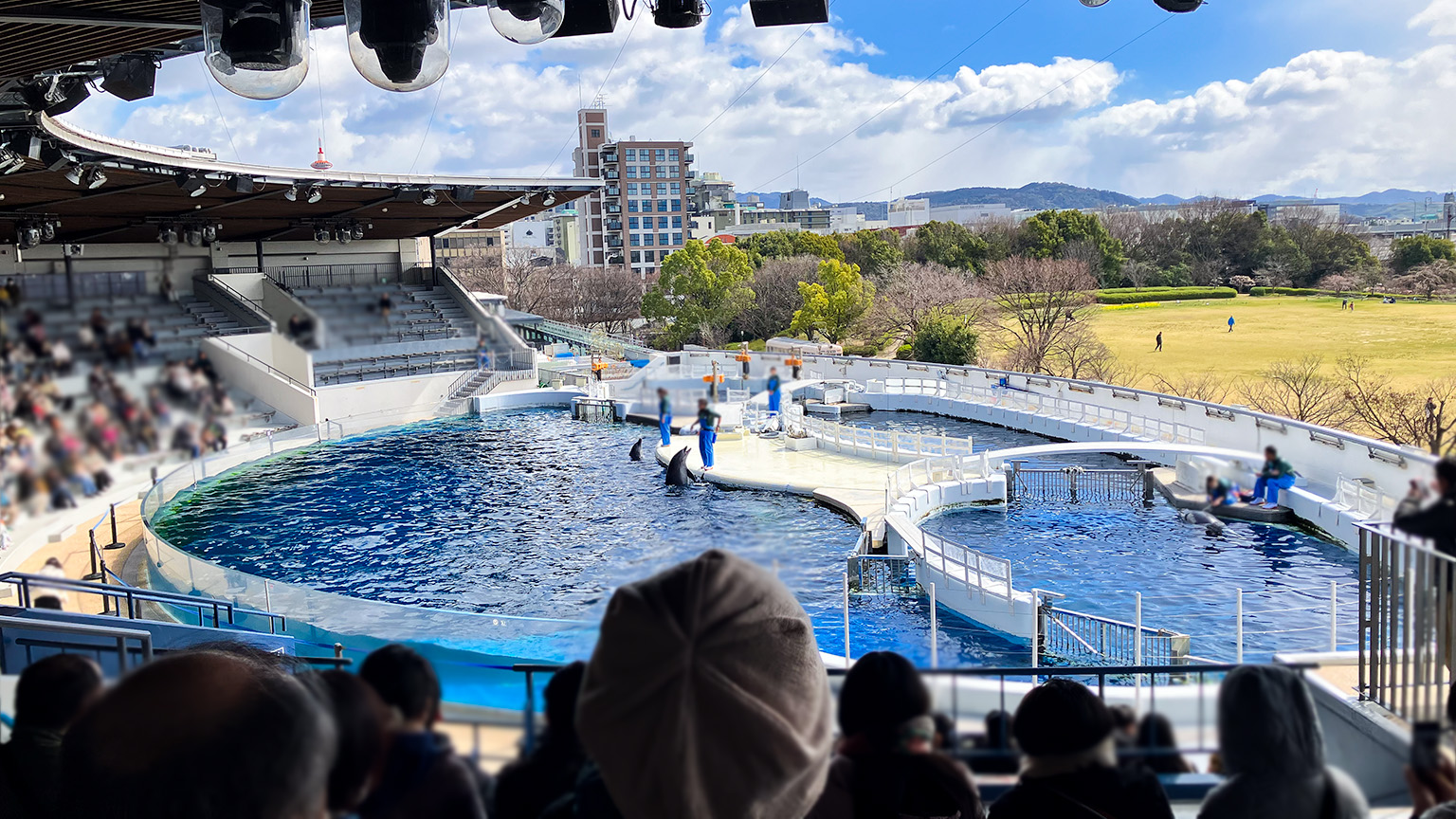京都水族館のイルカスタジアムの写真