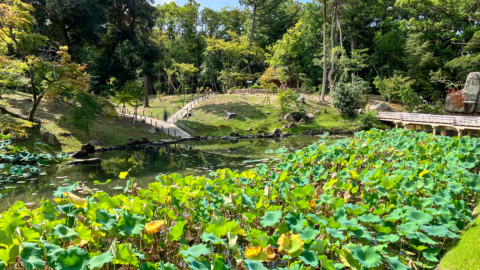 後楽園の花葉の池の写真