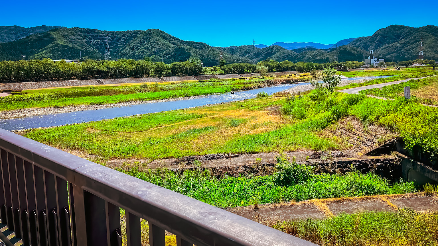 南条大橋から見る日野川の写真