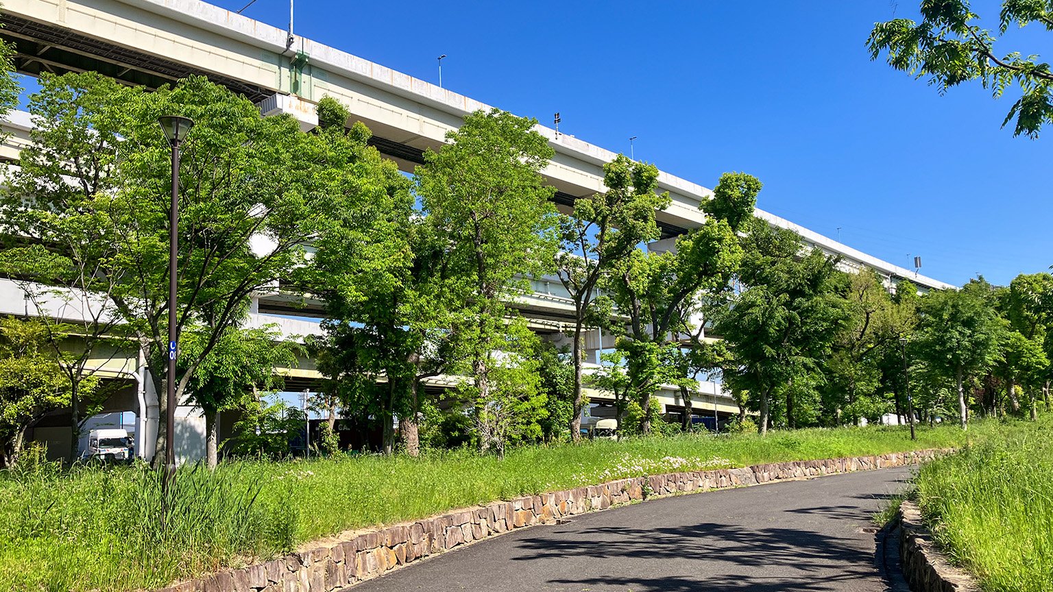 南港中央公園の写真