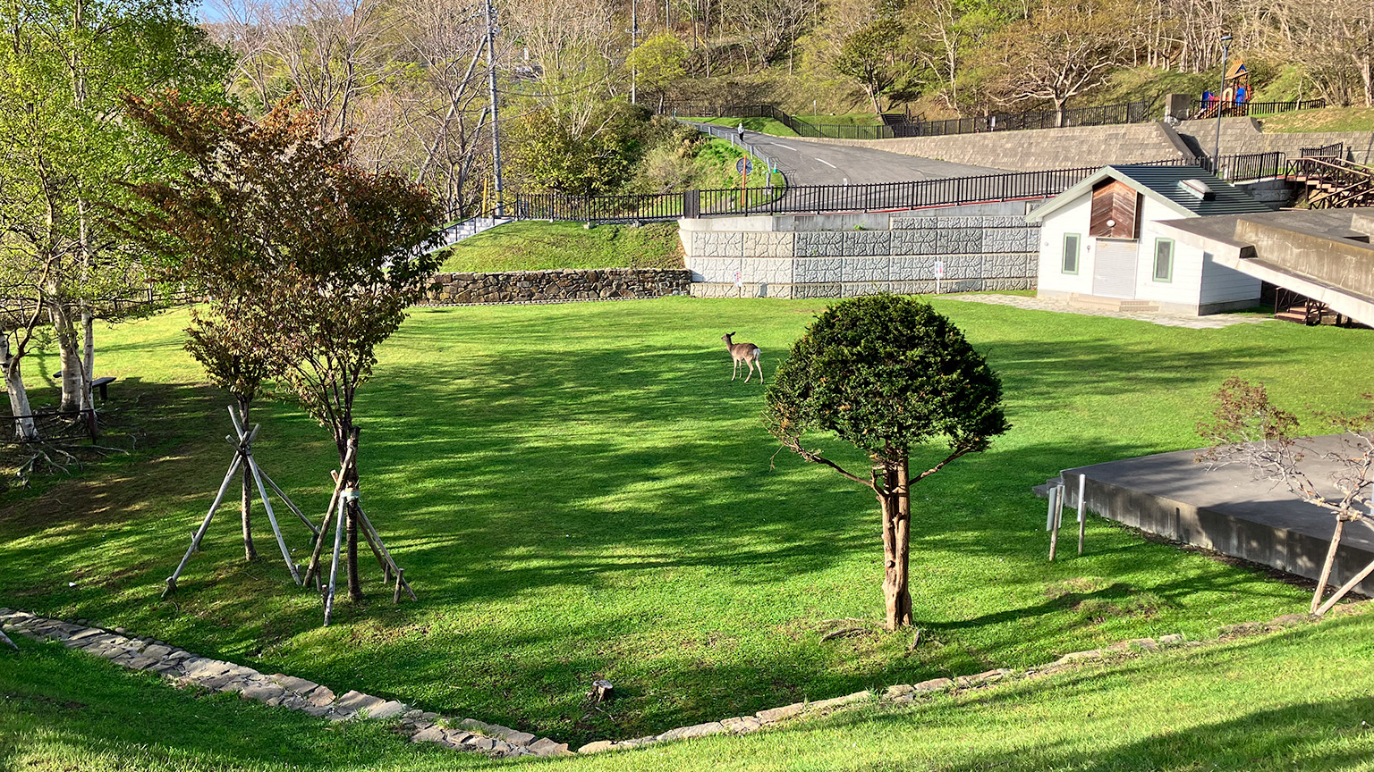 稚内公園の写真