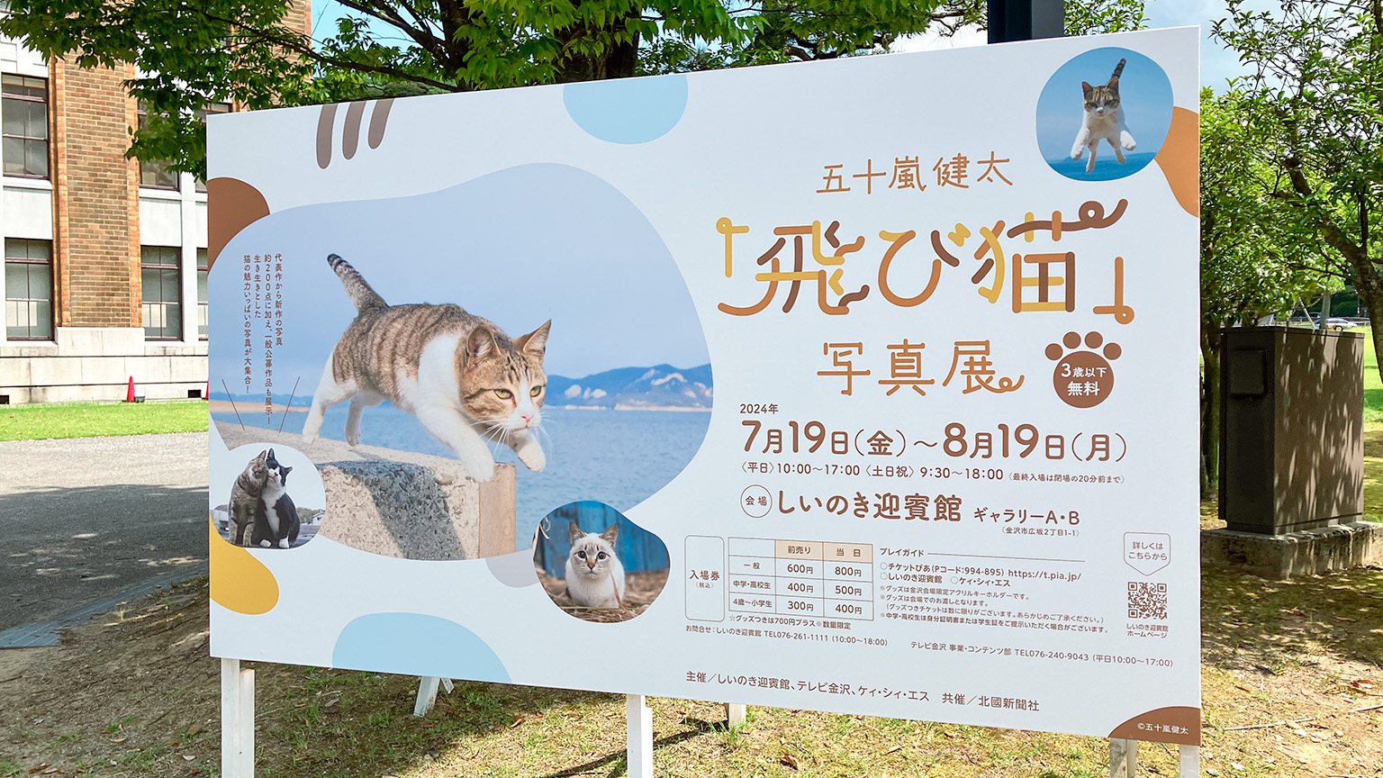 五十嵐健太「飛び猫」写真展の案内の写真