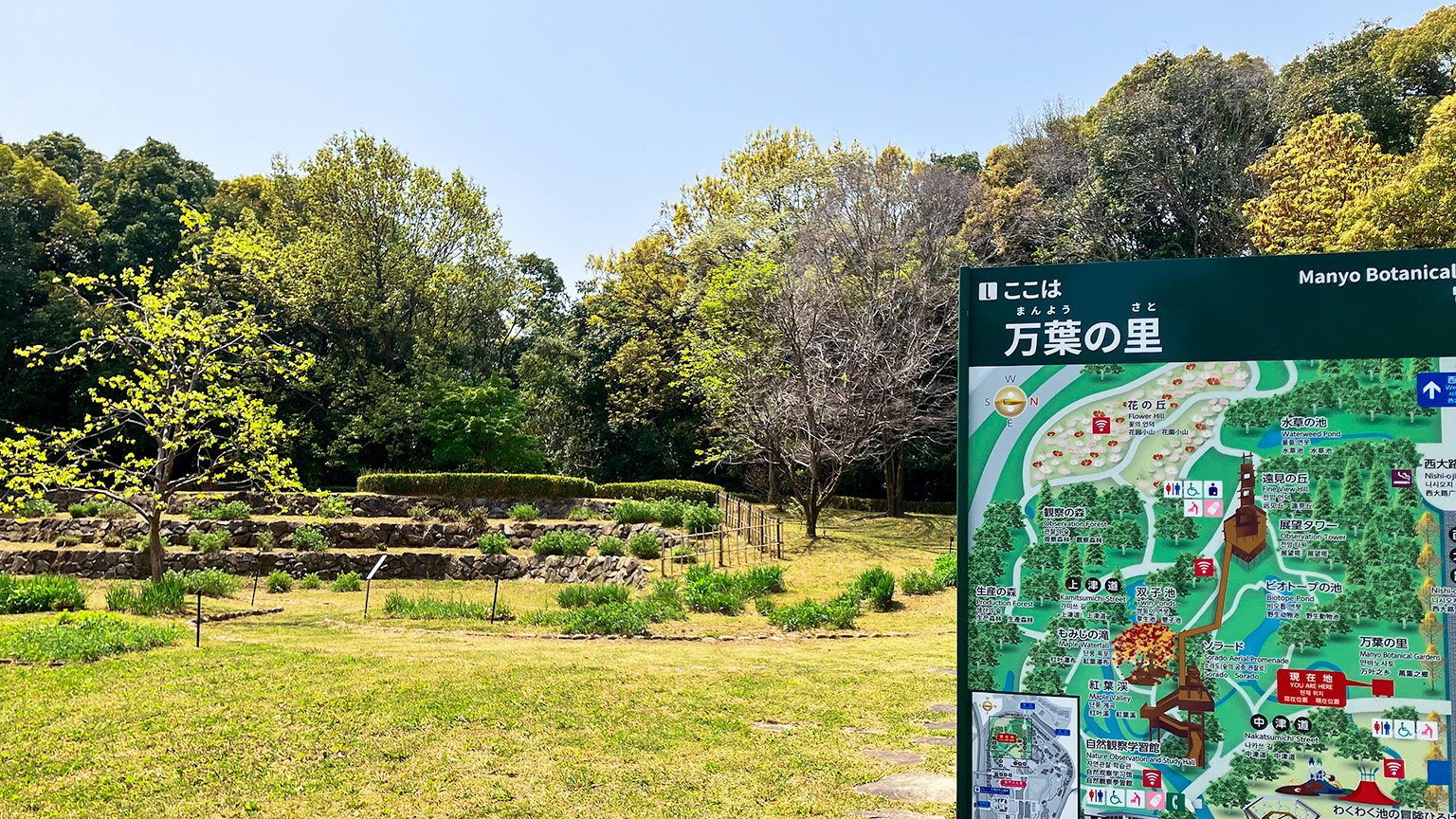 万博記念公園の万葉の里の写真