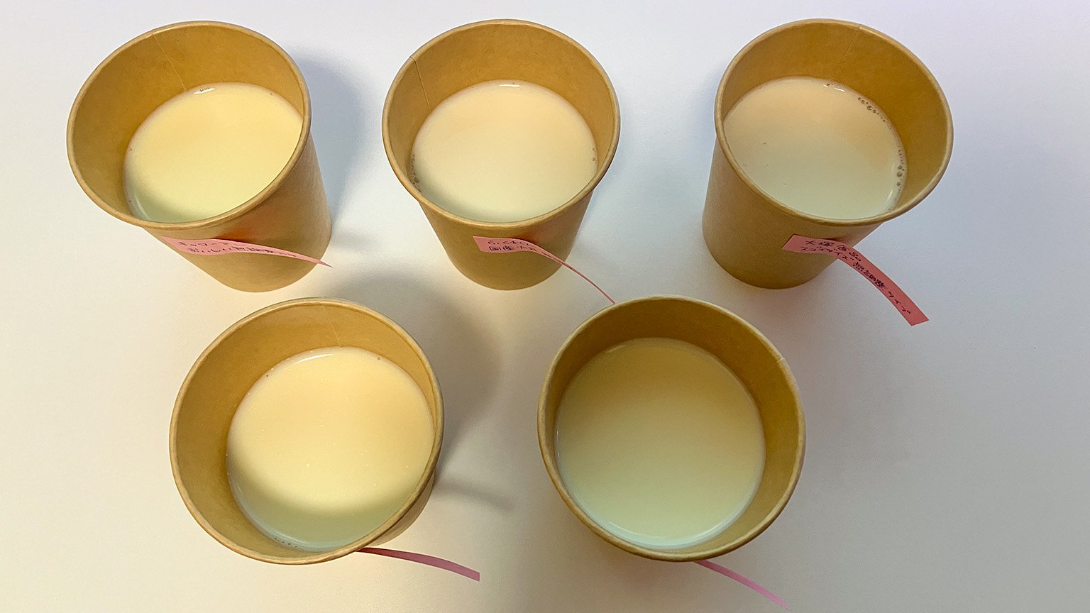 紙コップに注いだ豆乳の写真