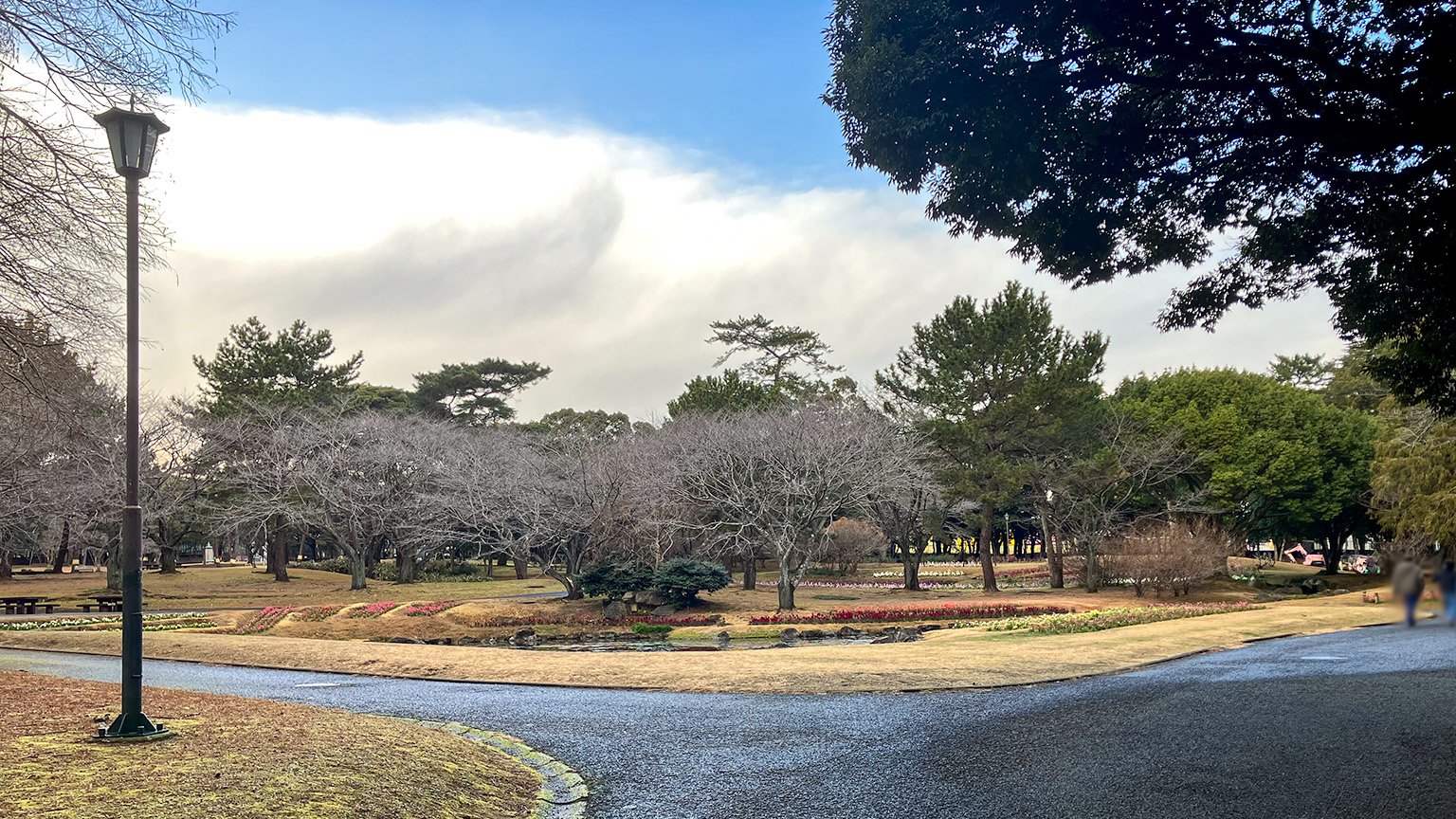 別府公園の写真