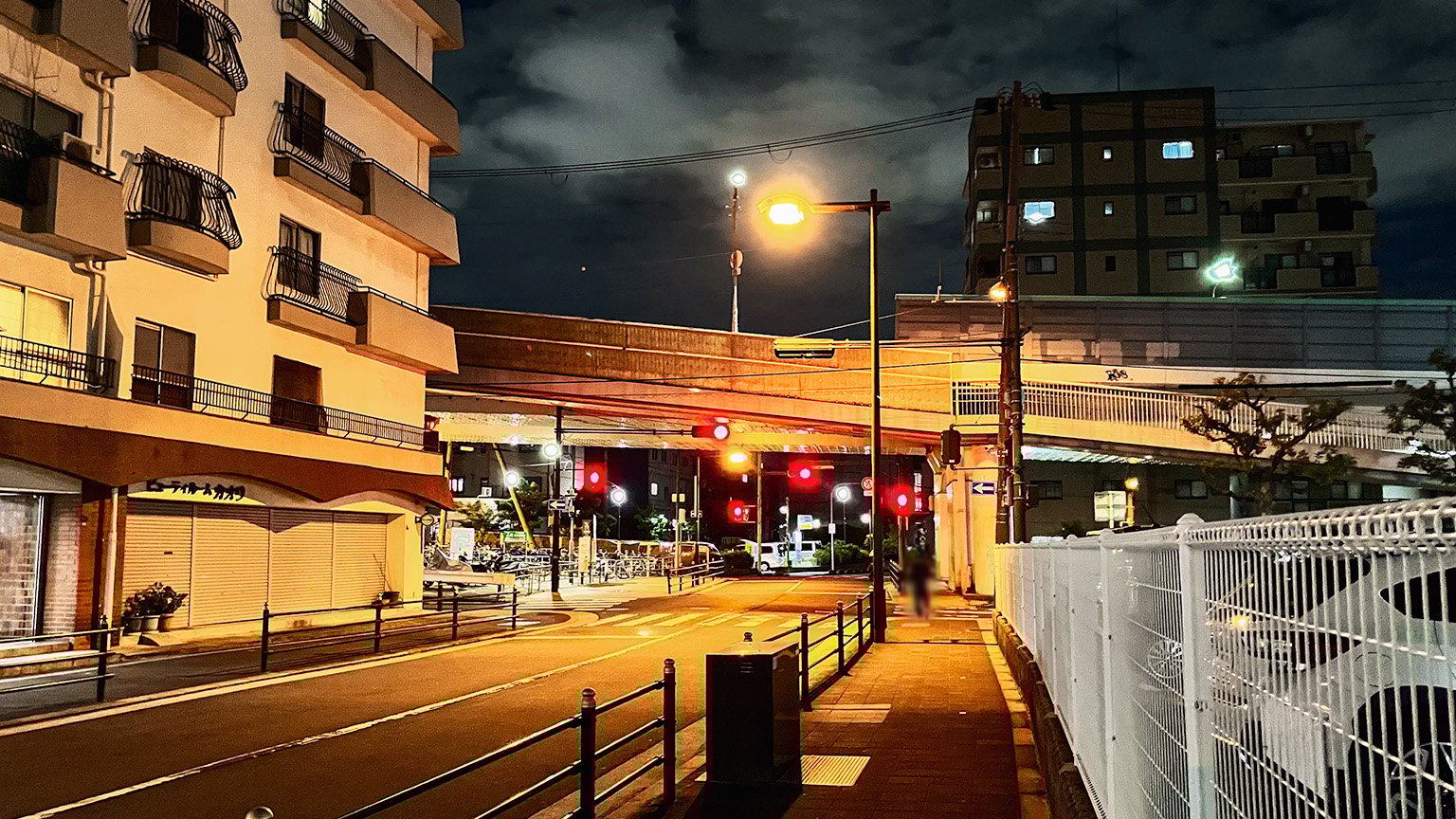 阪東大橋付近の写真