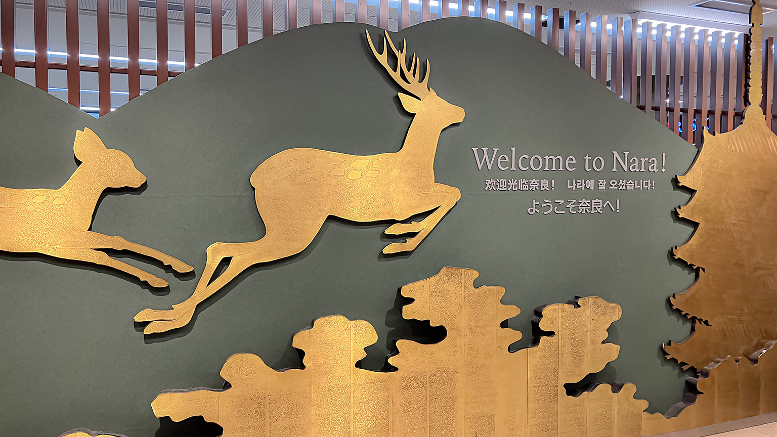 Welcome to Nara! の写真