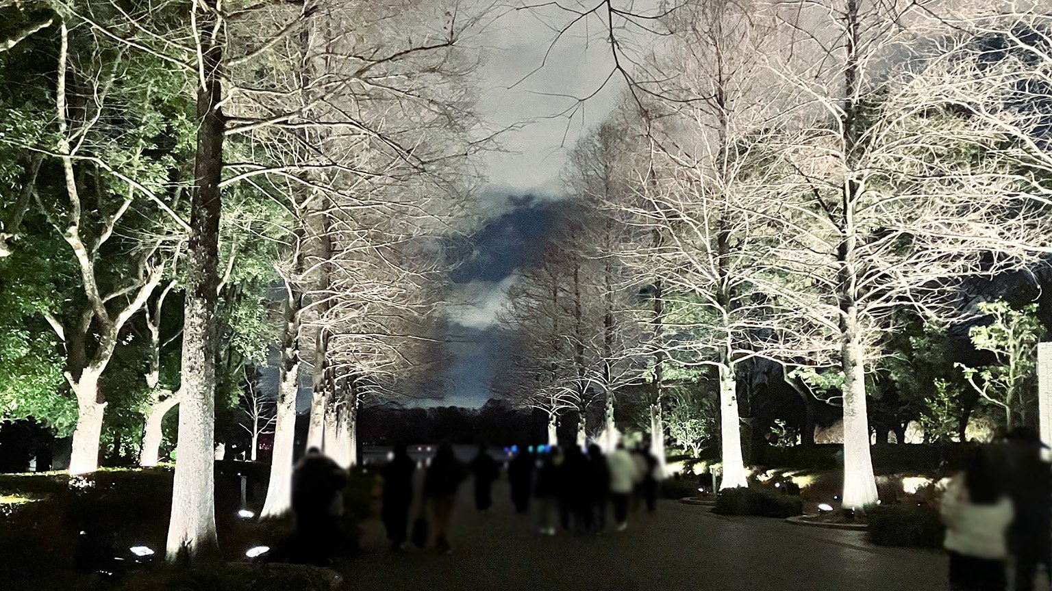 チームラボボタニカルガーデン大阪の展示の写真