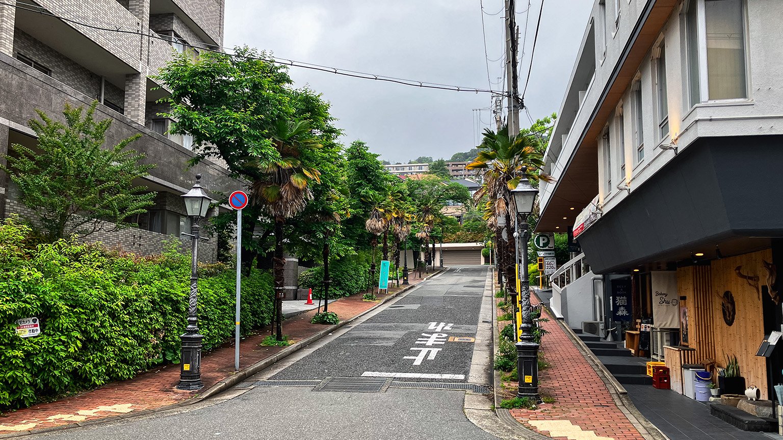 雲雀丘花屋敷駅北側の街の写真