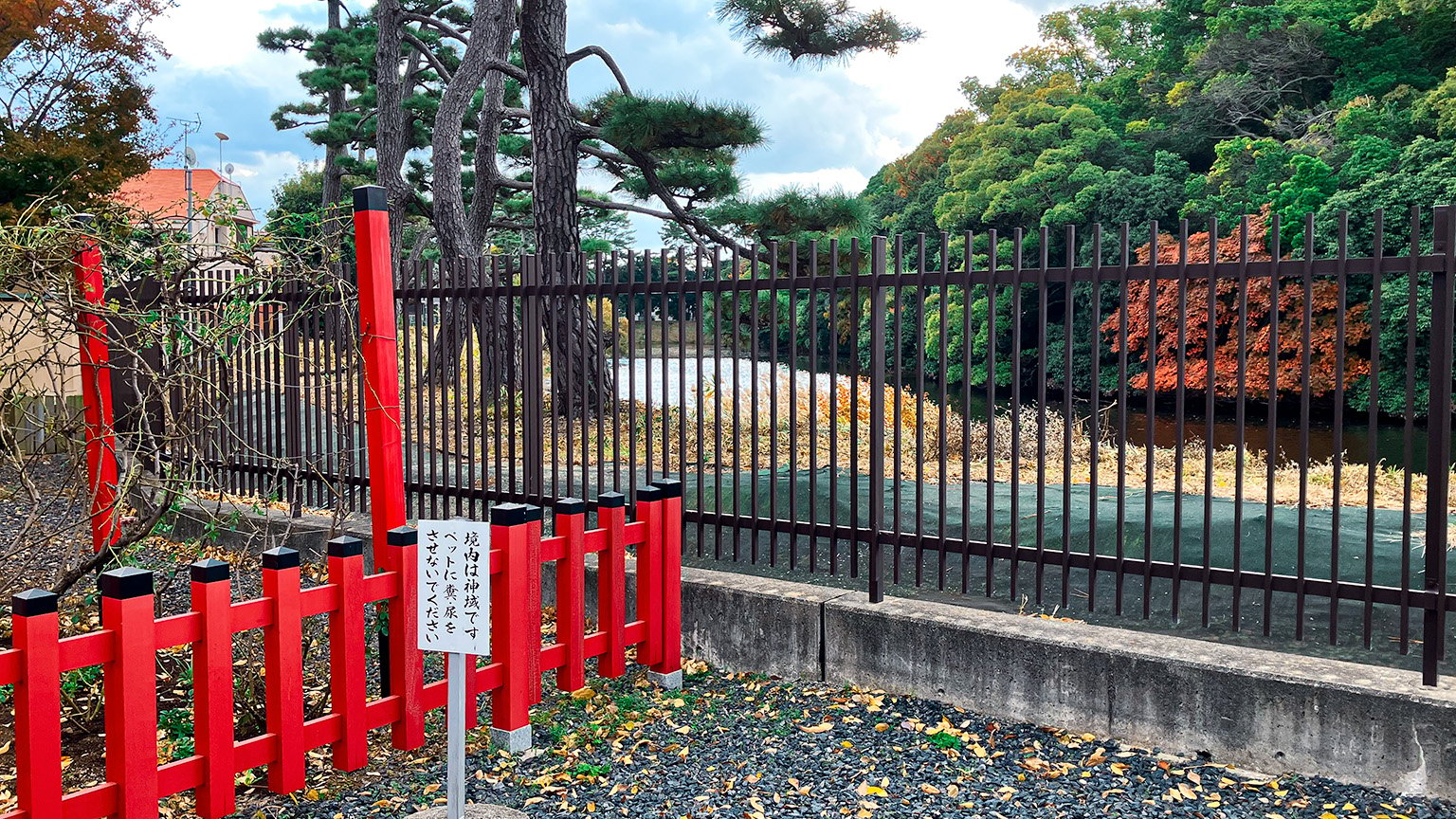 方違神社から見た反正天皇陵古墳の写真