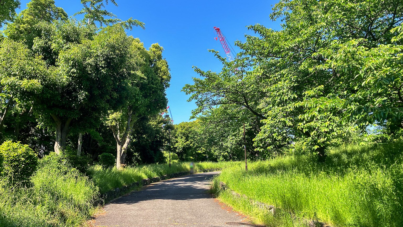 南港中央公園の写真