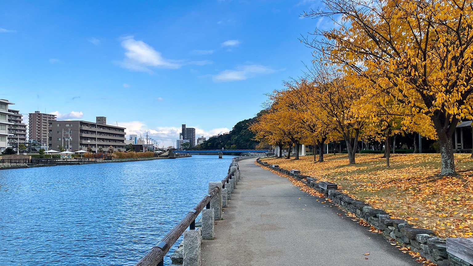 徳島中央公園北側の助任川沿いの写真