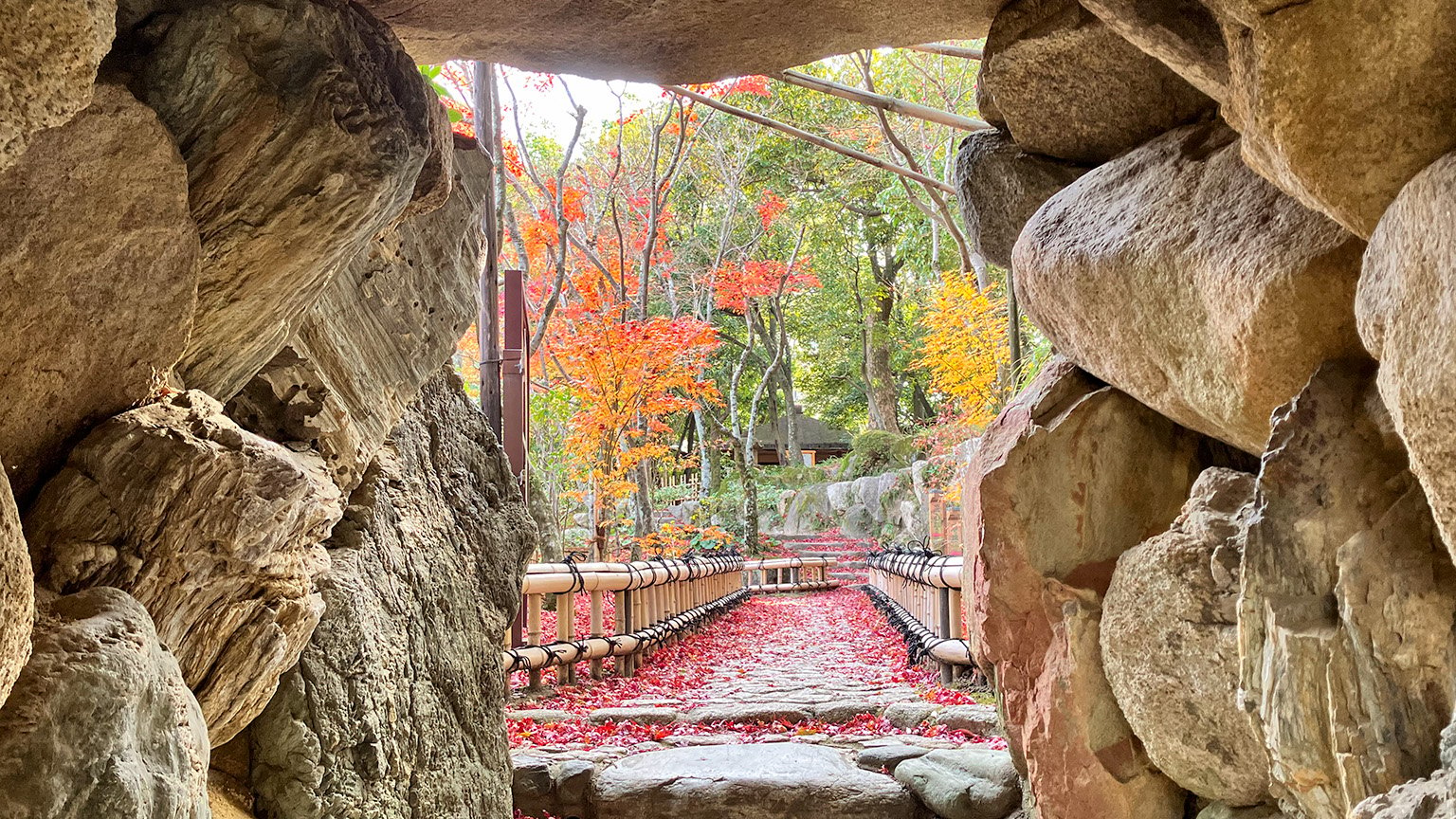 相楽園の日本庭園の写真