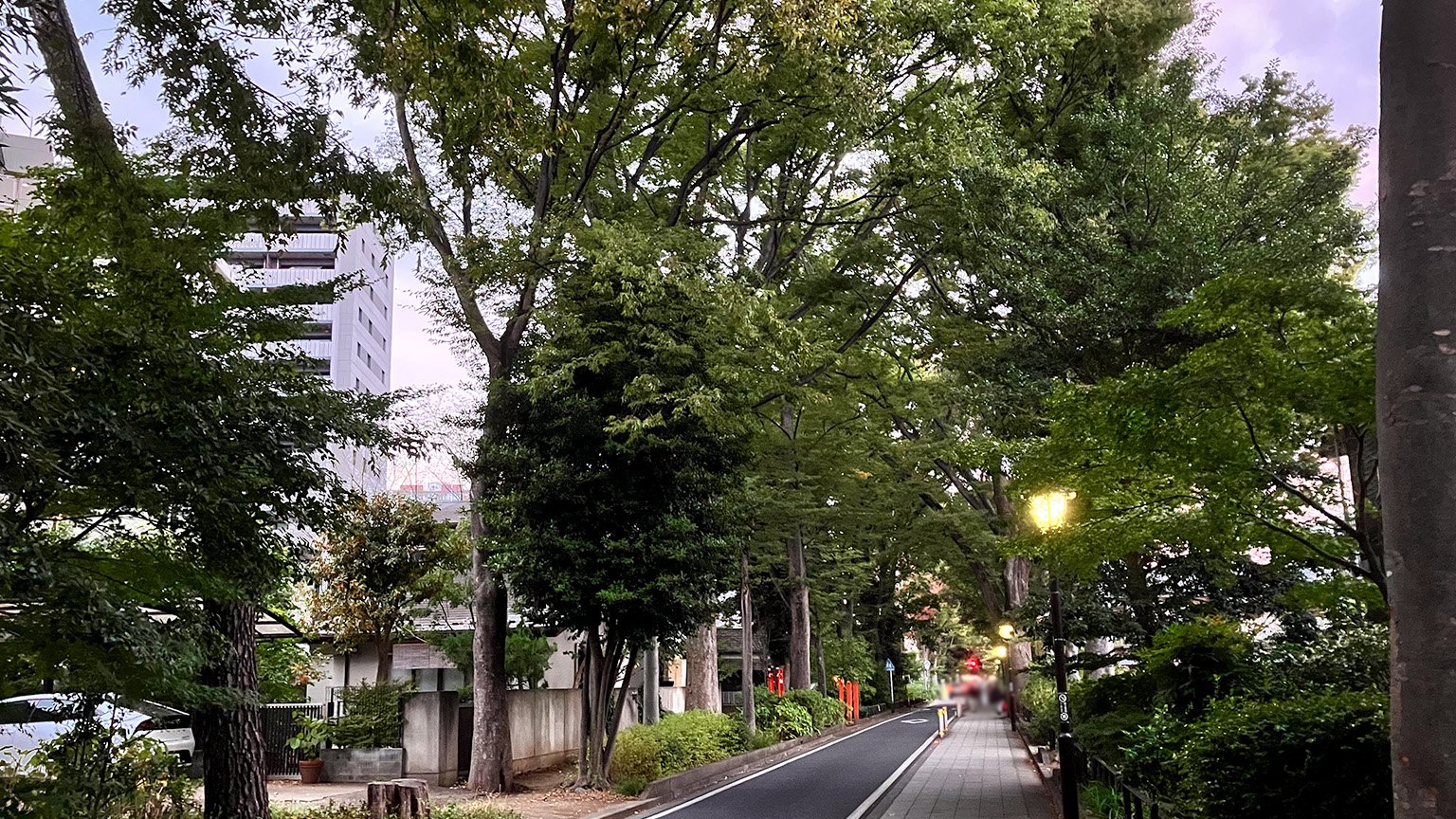 氷川神社の参道の写真