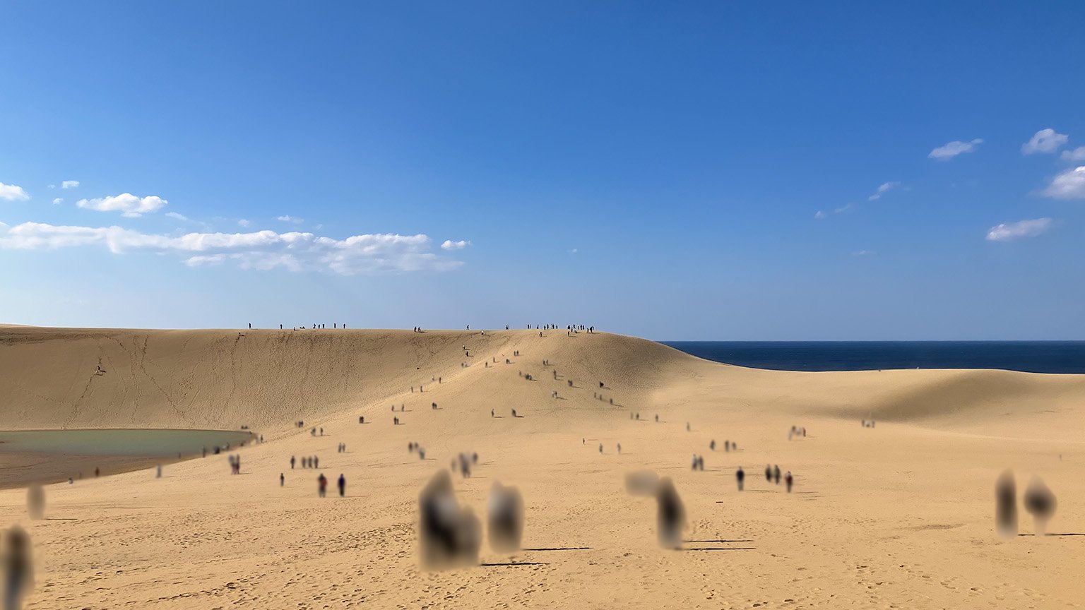 鳥取砂丘の写真