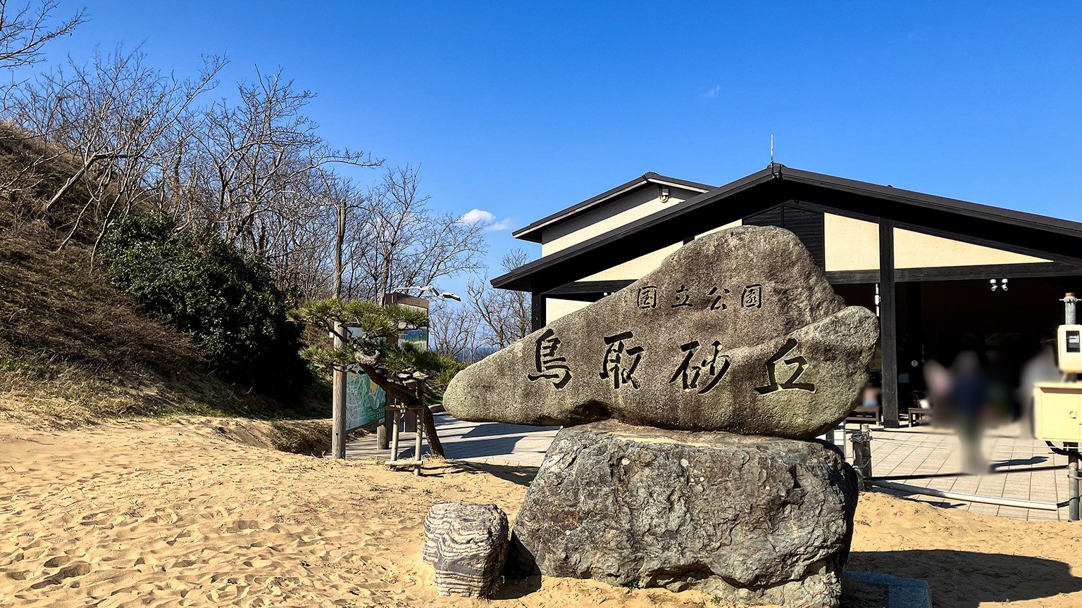 国立公園鳥取砂丘の写真