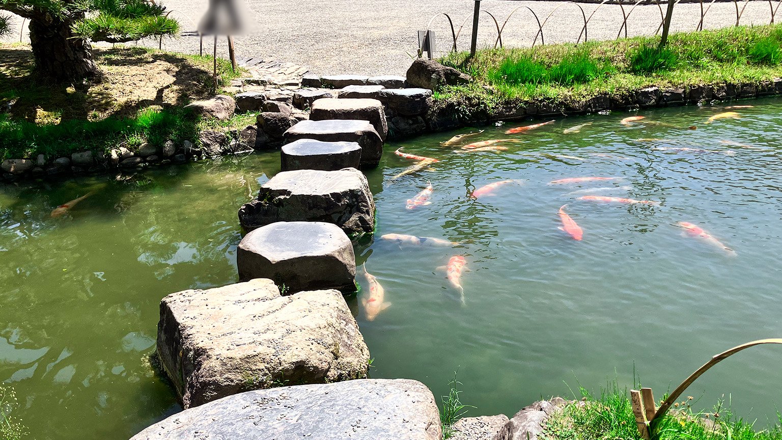 栗林公園の飛石の写真