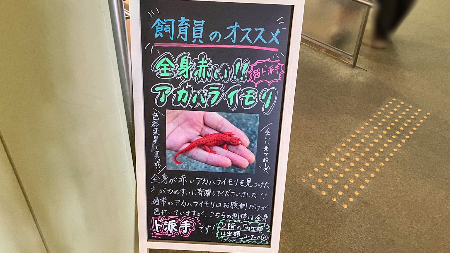 姫路市立水族館新館の展示の写真