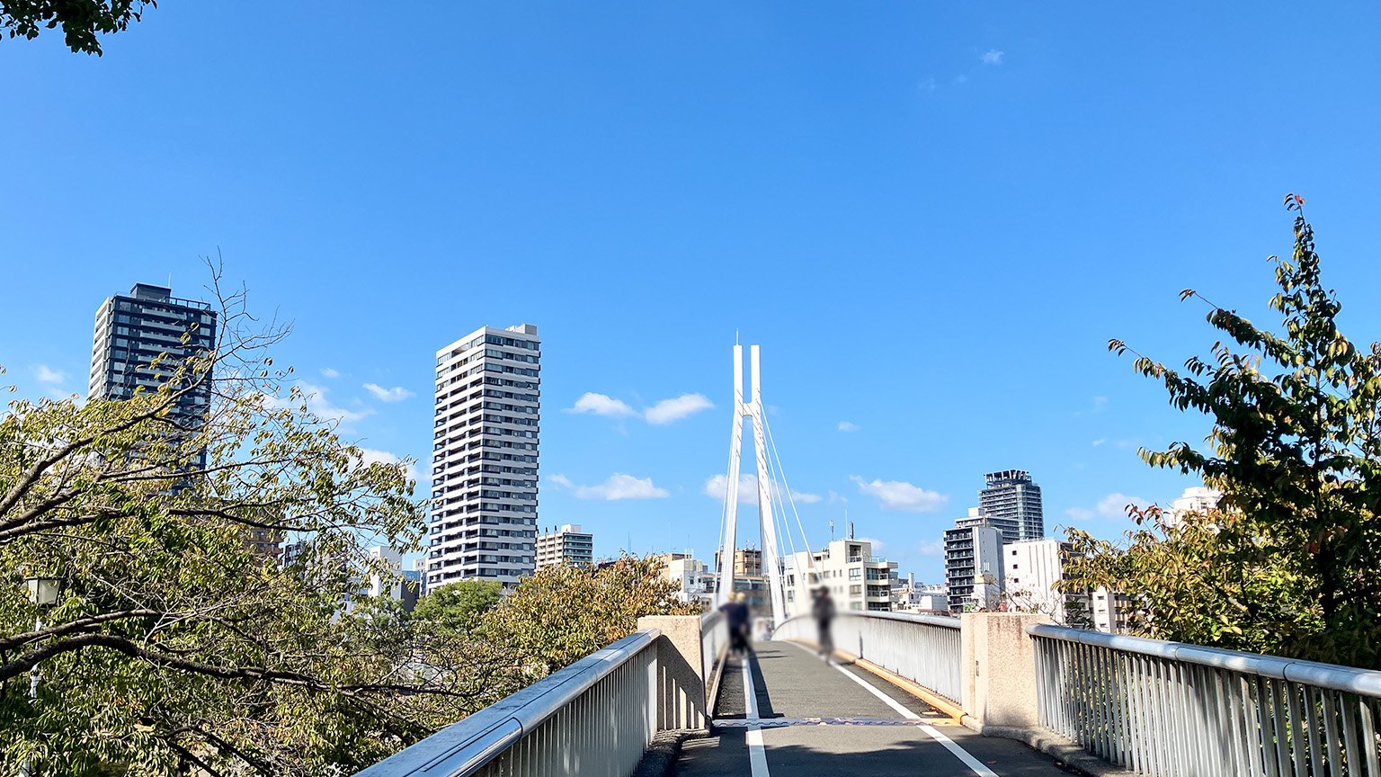 大川に架かる川崎橋の写真