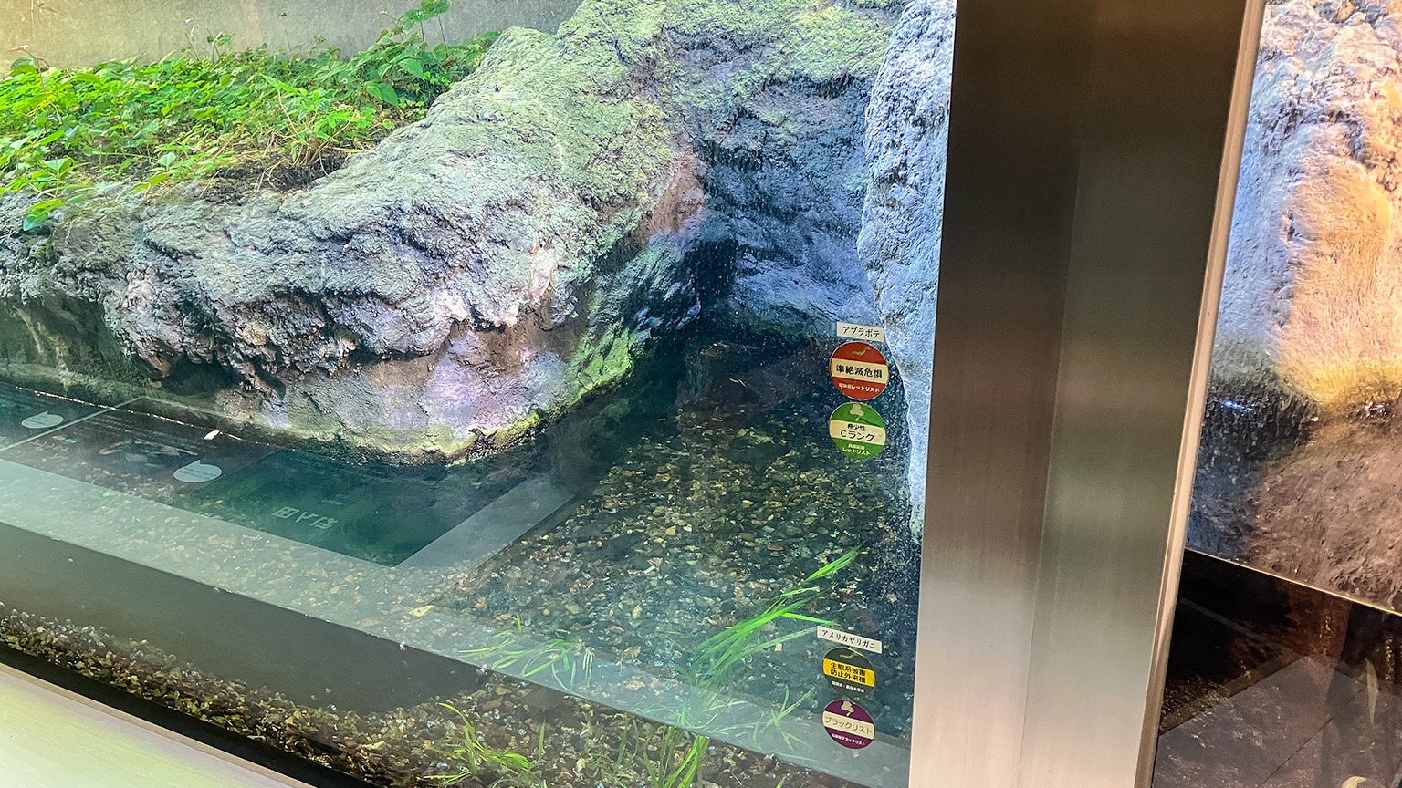姫路市立水族館新館の展示の写真