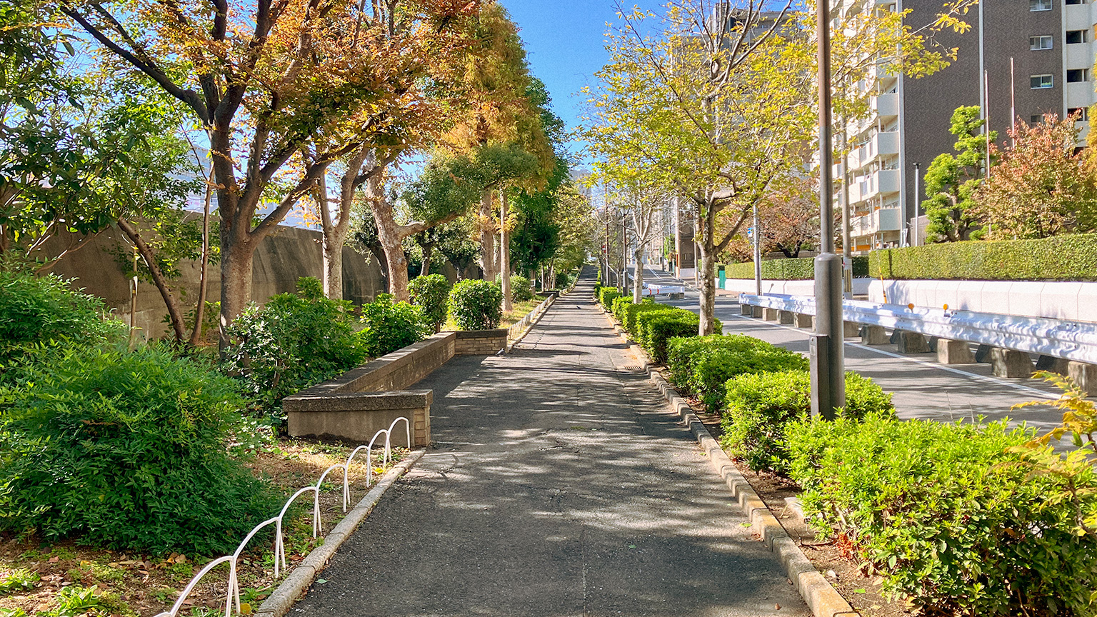 道頓堀川沿いの歩道の写真