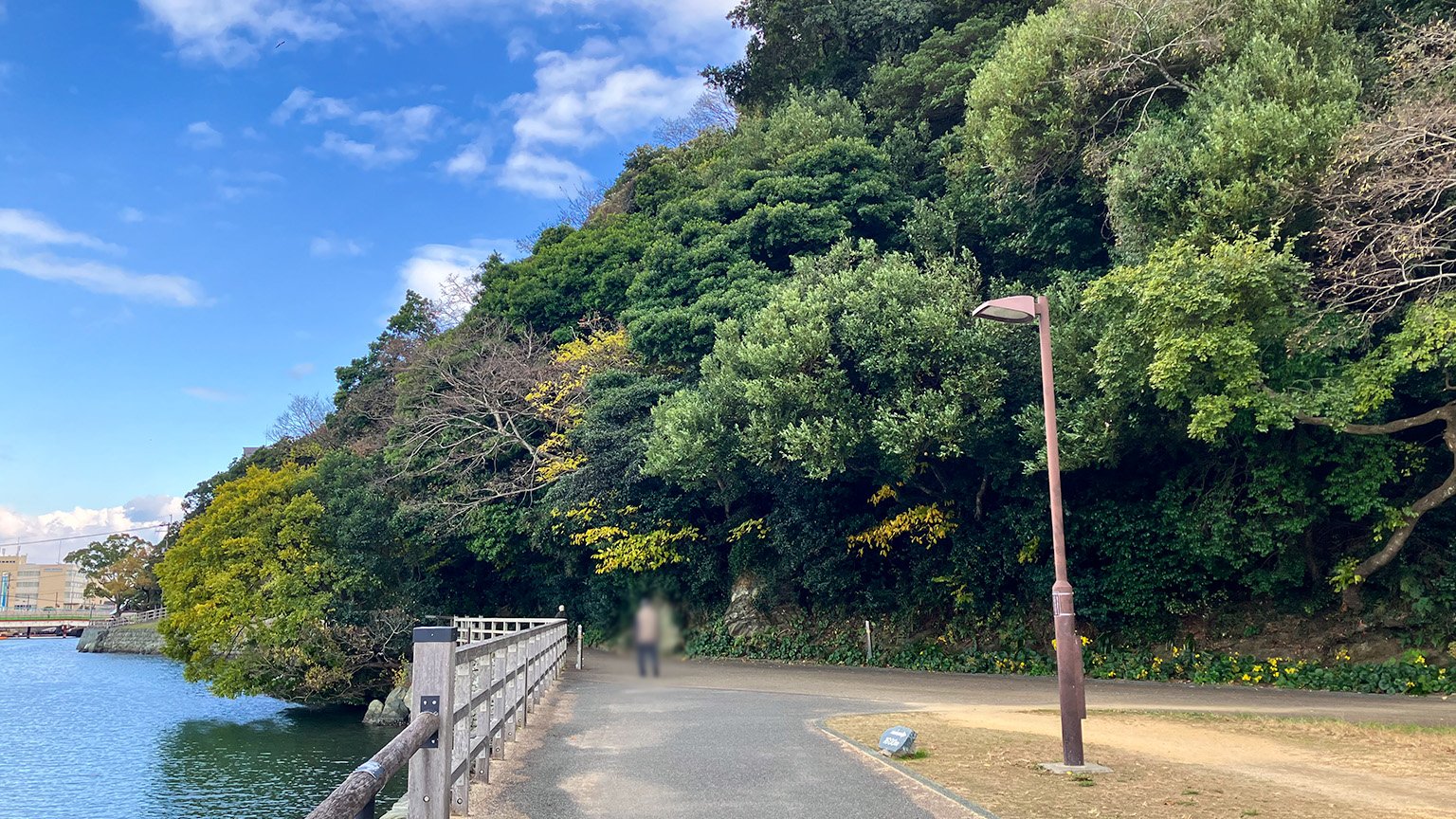 徳島中央公園北側の助任川沿いの写真