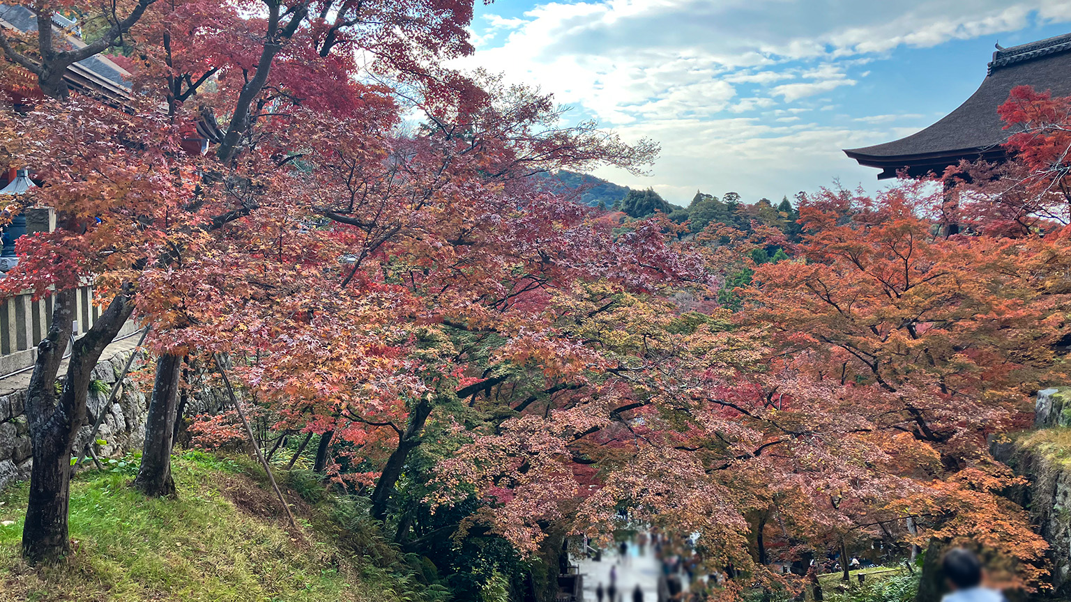 清水寺の写真