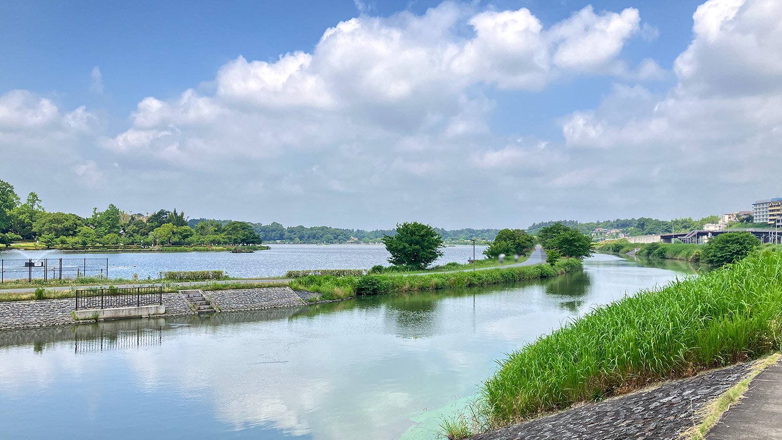 桜川と千波湖の写真