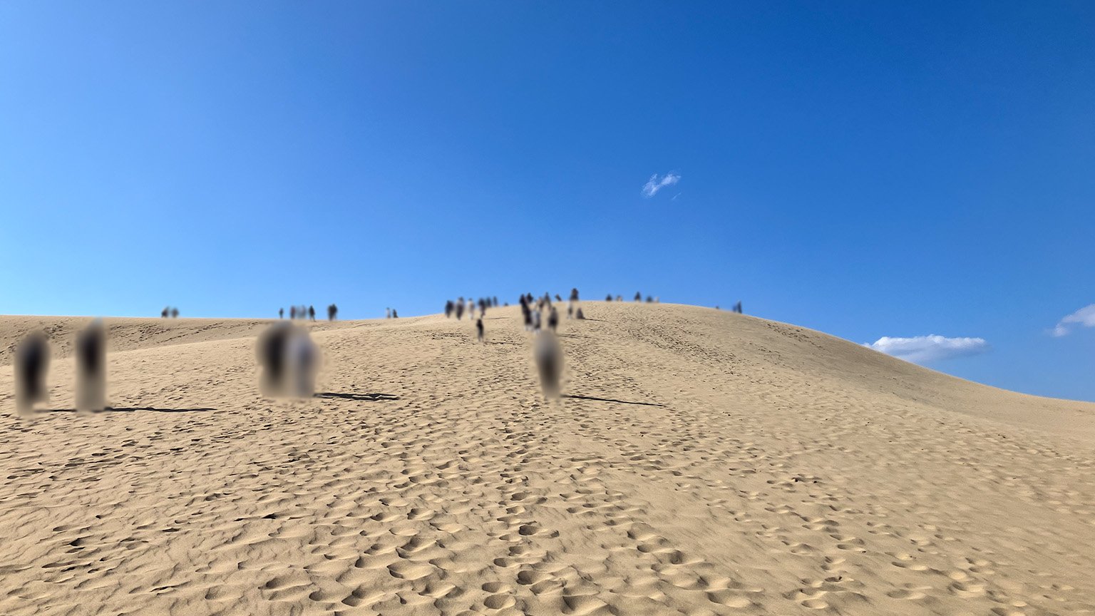 鳥取砂丘の馬の背の写真