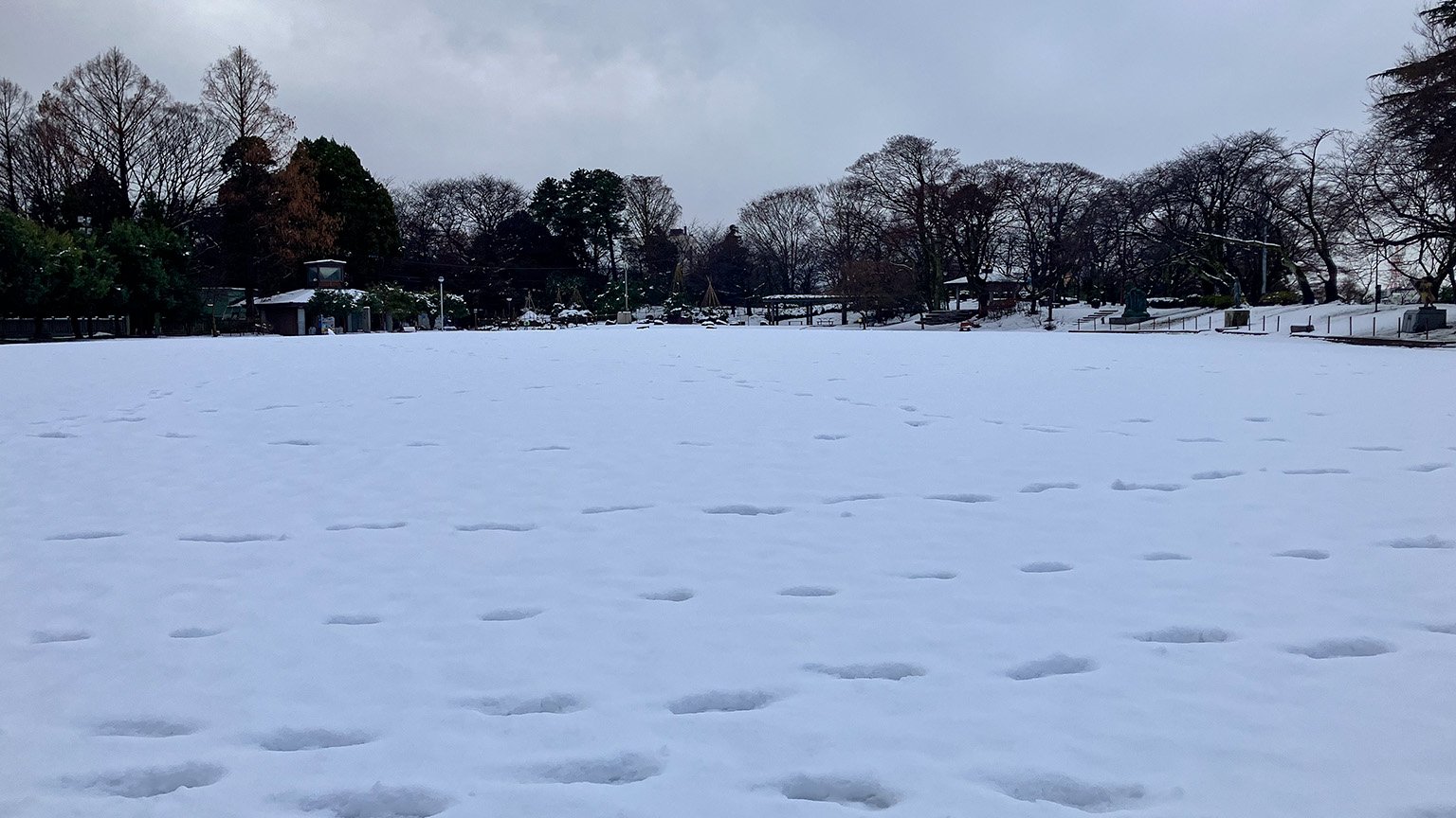 高岡古城公園の本丸広場の写真