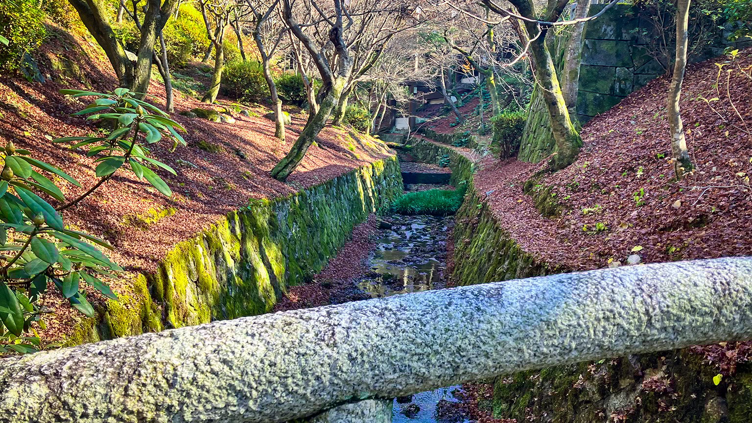 東福寺の通天橋周辺の庭園の写真