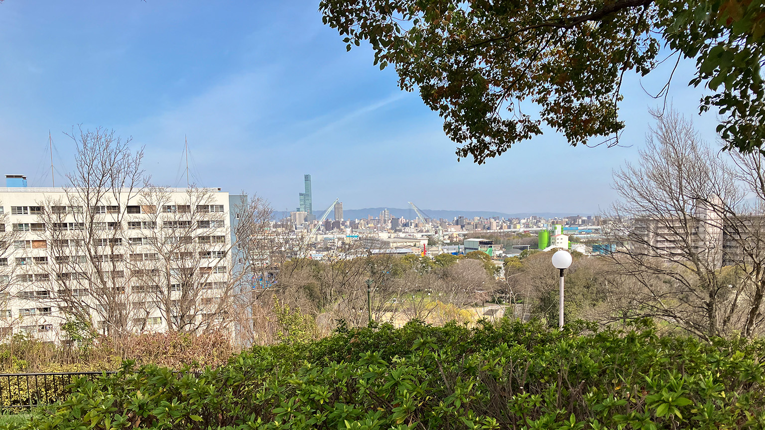 昭和山の山頂からの景色の写真