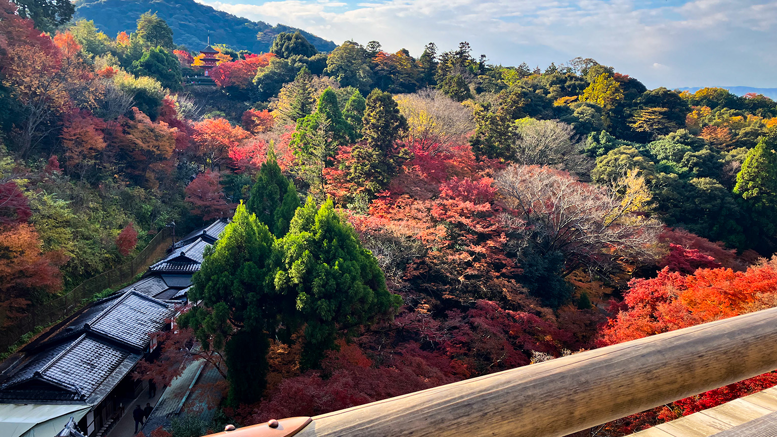 清水の舞台からの景色の写真