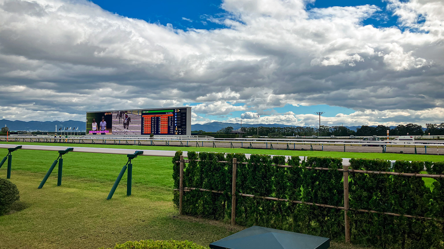 京都競馬場のコースの写真