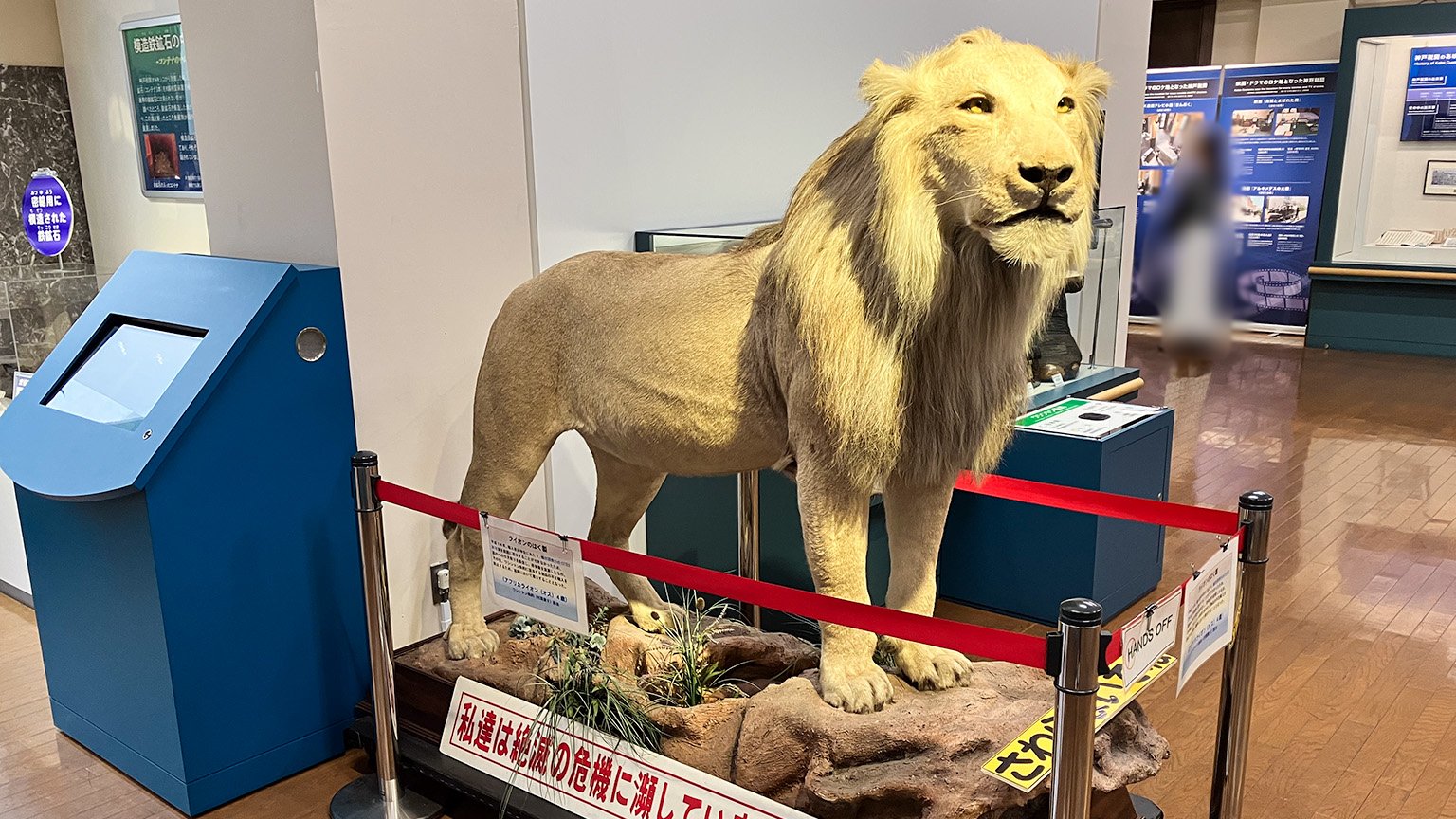 神戸税関の広報展示室の展示の写真