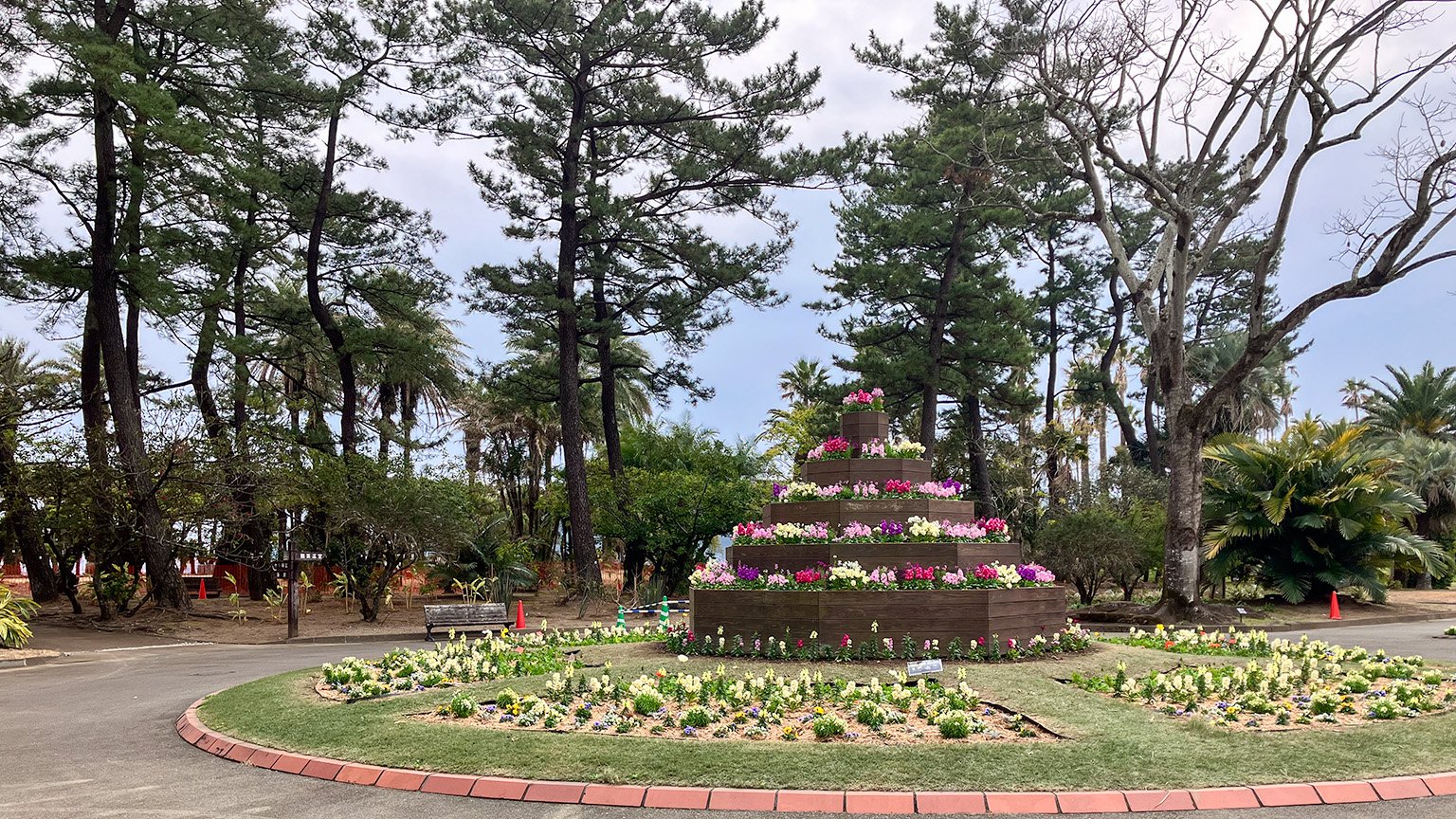 宮交ボタニックガーデン青島のロータリー花壇の写真