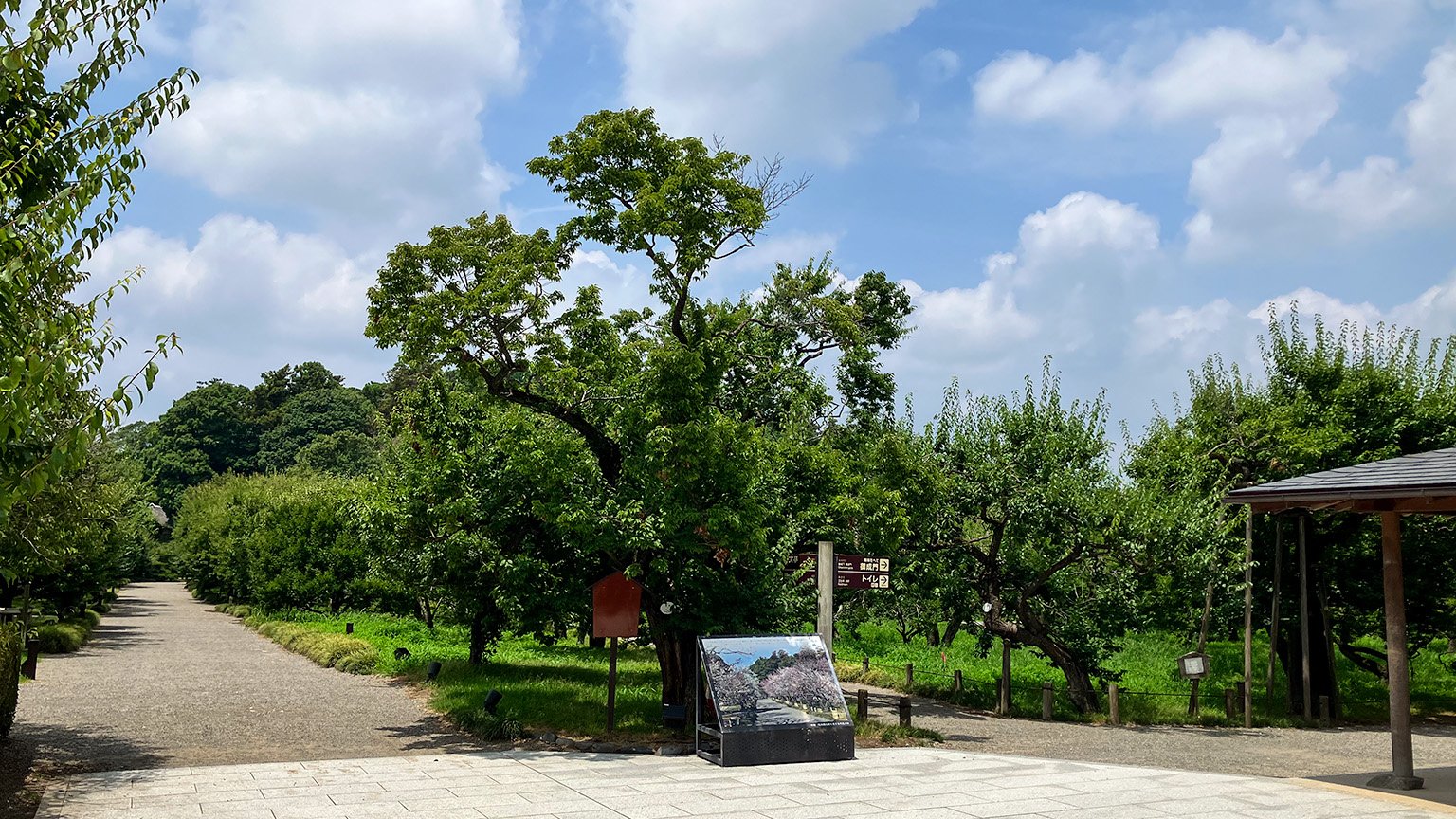偕楽園の東門をくぐってすぐの場所の写真