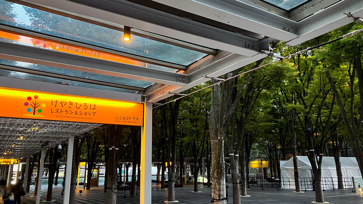 けやきひろばの写真