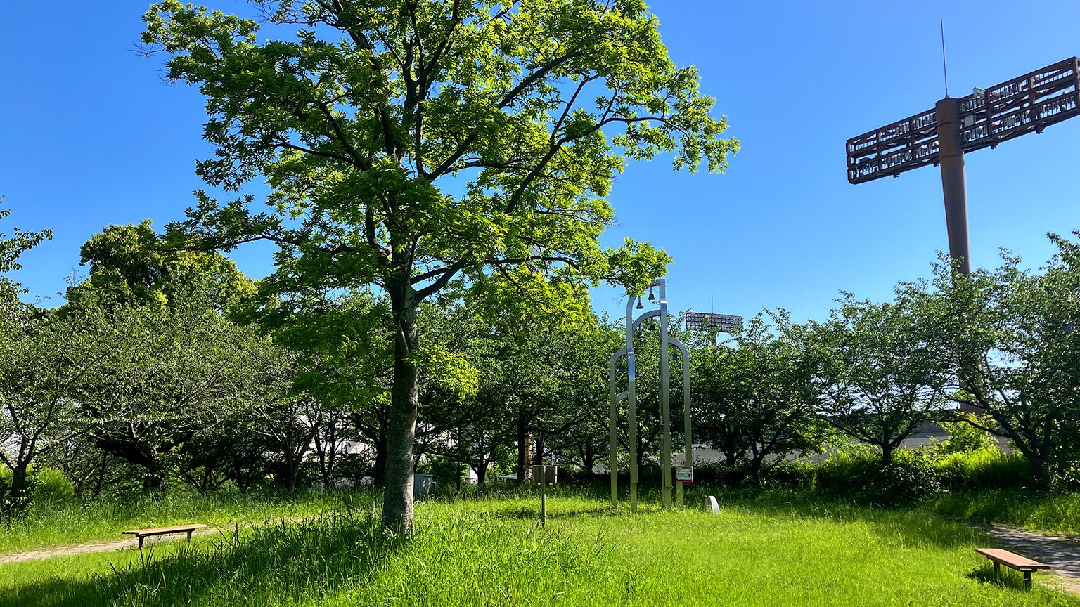 南港中央公園のカリヨンの丘の写真