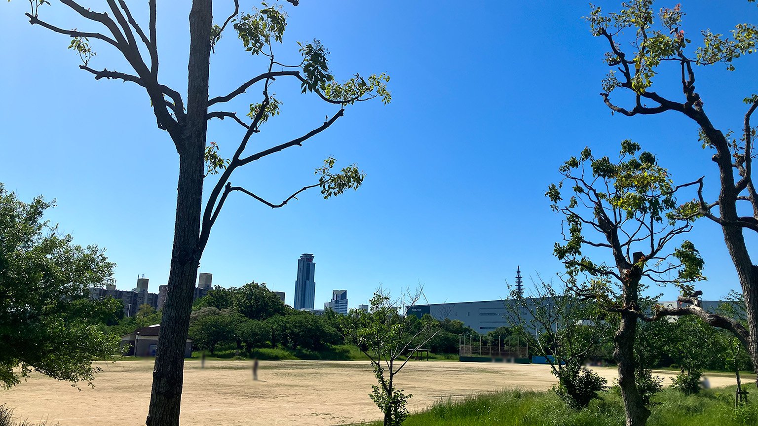 南港中央公園の広場と大阪府咲洲庁舎の写真