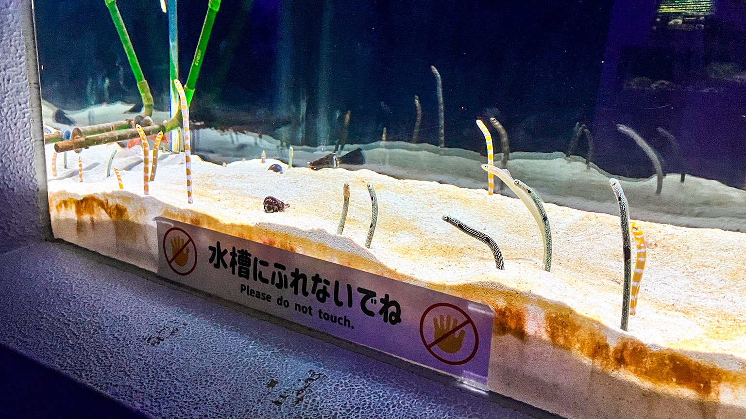 姫路市立水族館本館の展示の写真
