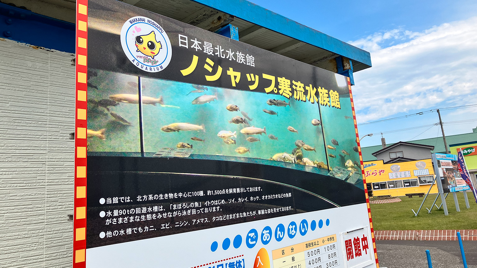 ノシャップ寒流水族館の写真