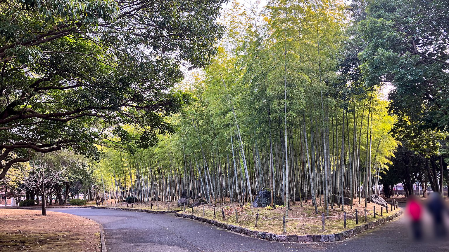 別府公園の写真