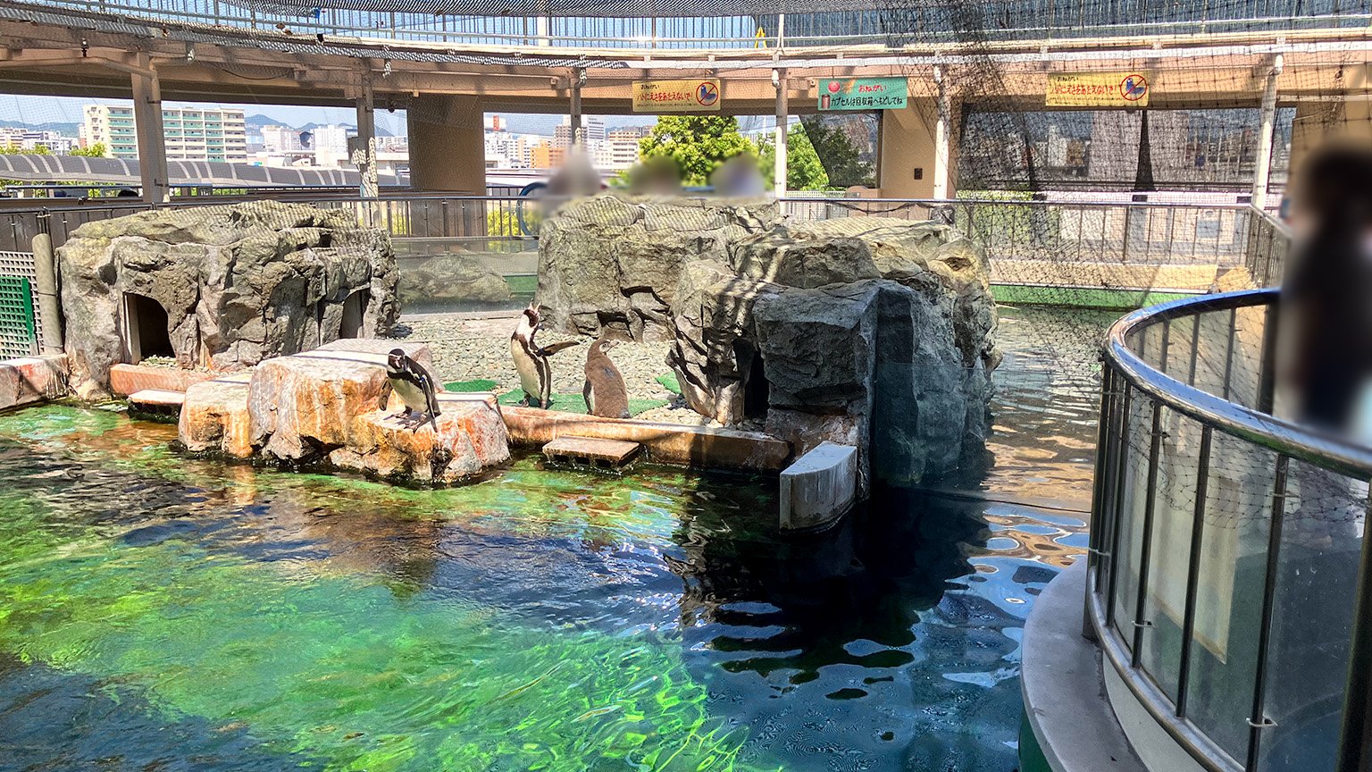 姫路市立水族館本館の展示の写真