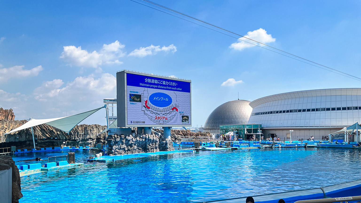 名古屋港水族館メインプールの写真