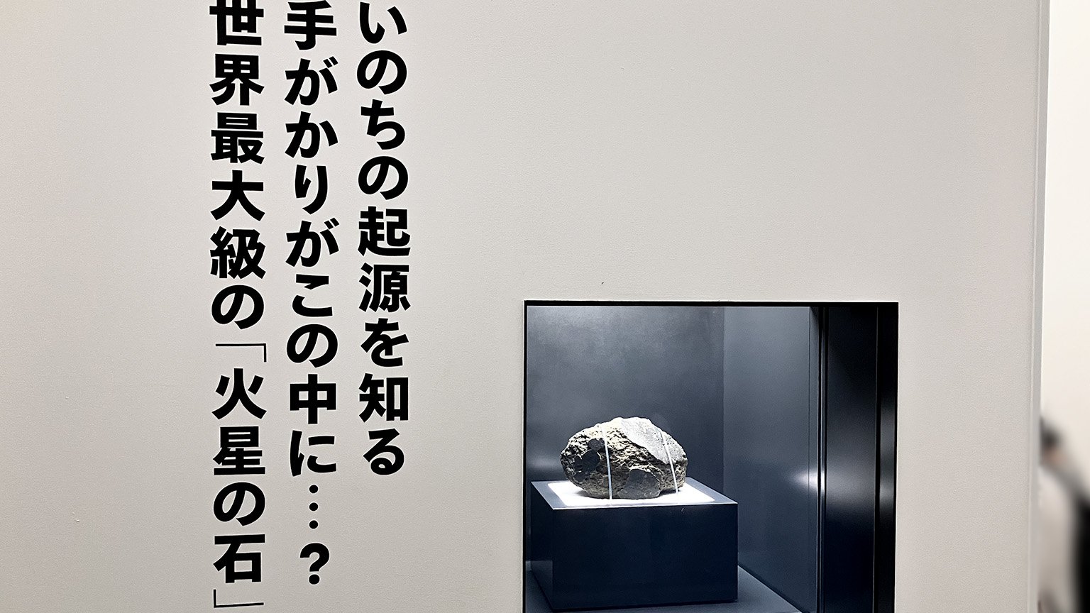 大阪・関西万博の日本館の写真
