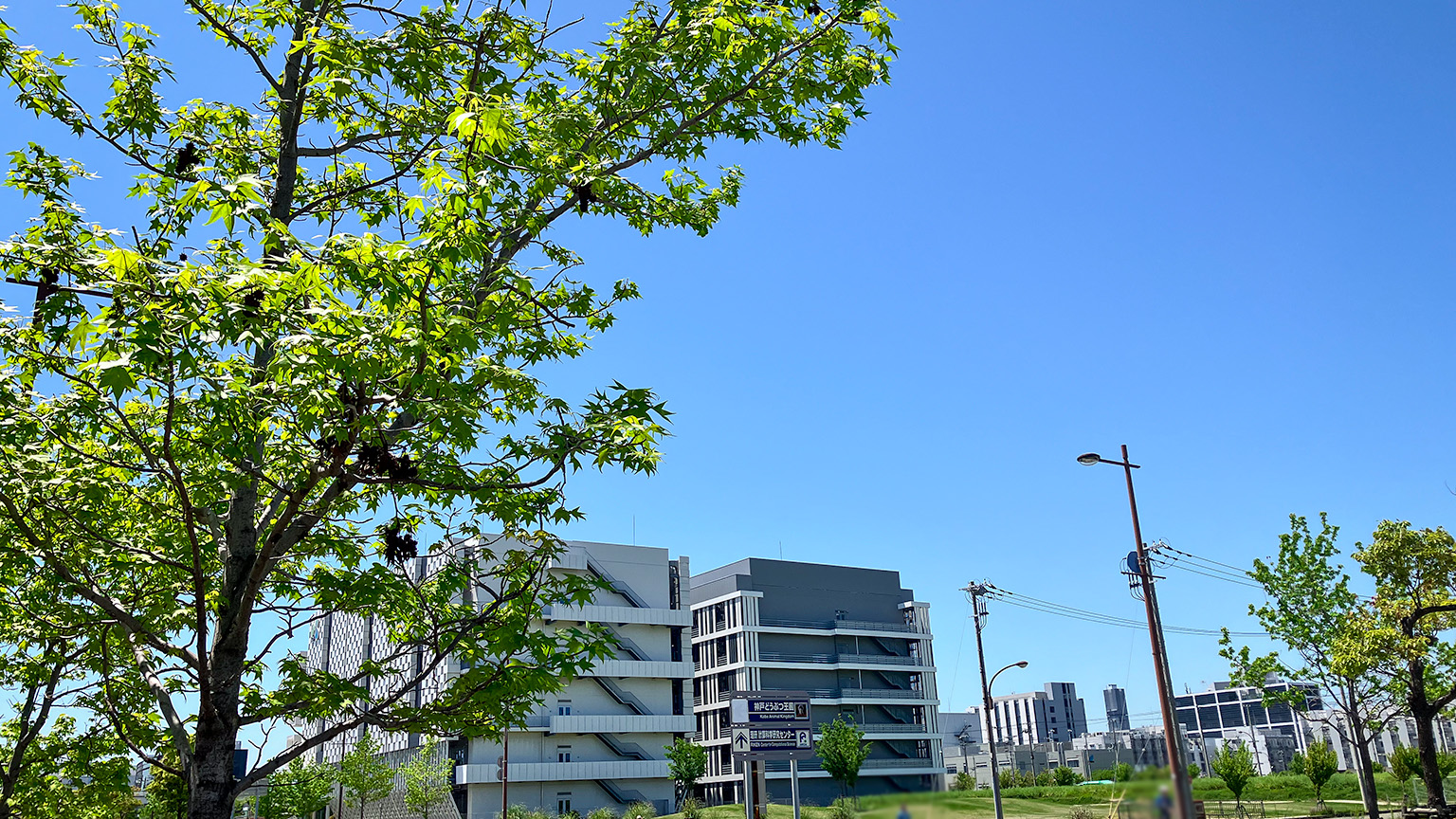 計算科学センター駅周辺の写真