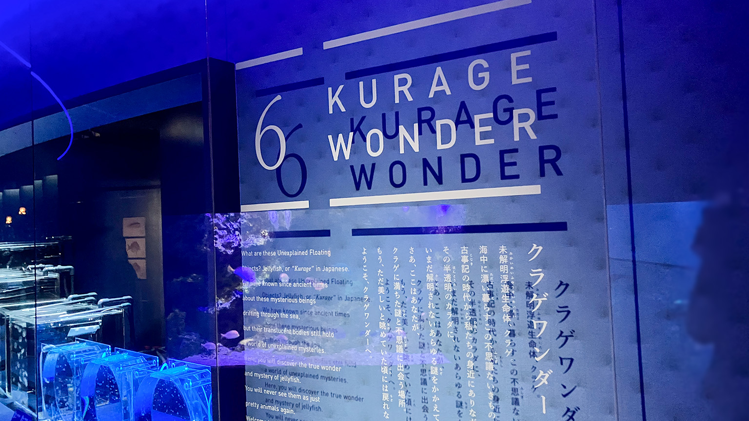 京都水族館のクラゲワンダーエリアの写真